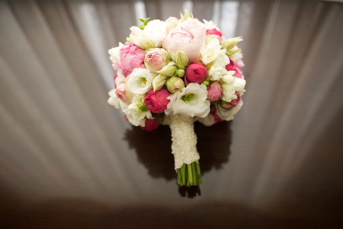 WeddWedd
