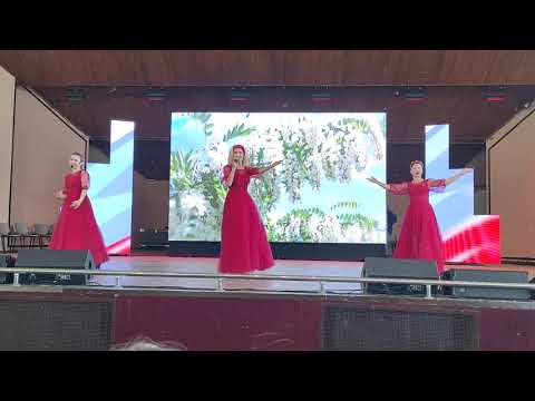 Портфолио: Свадьба