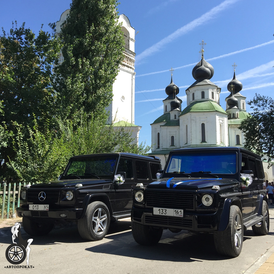 Фотографии