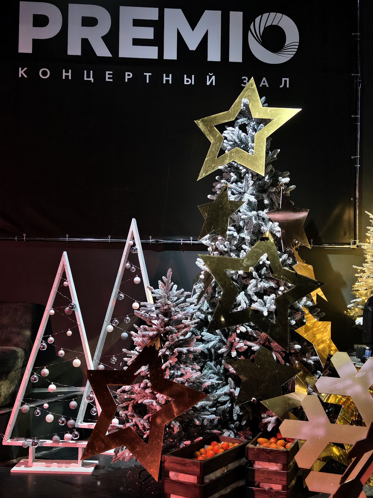 Портфолио: Оформление новогоднего корпоратива
