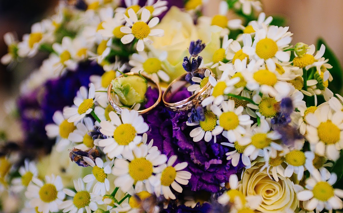 Женя и Никита