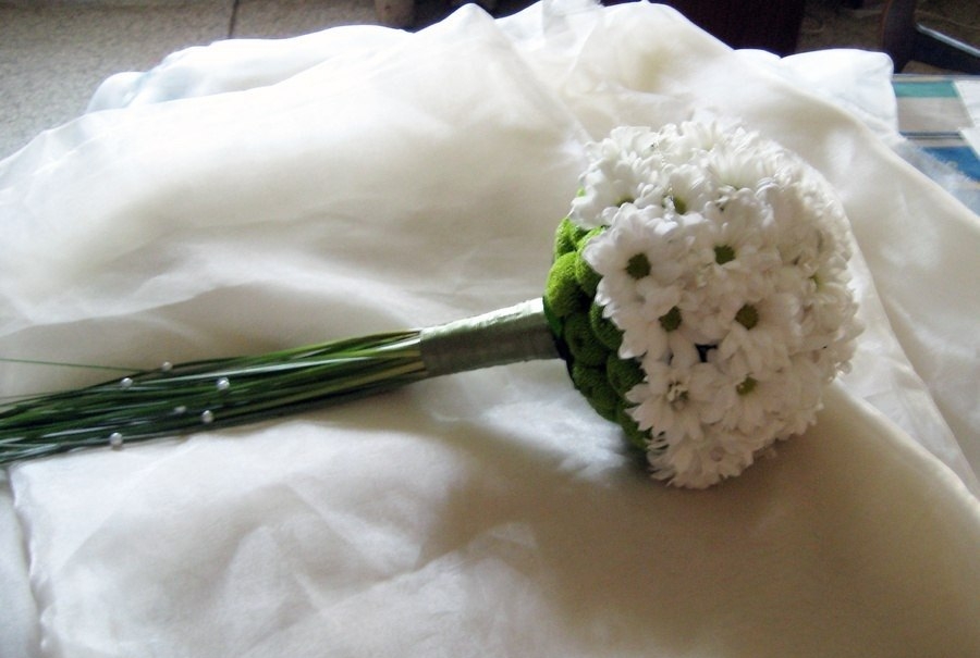 Anna flowers