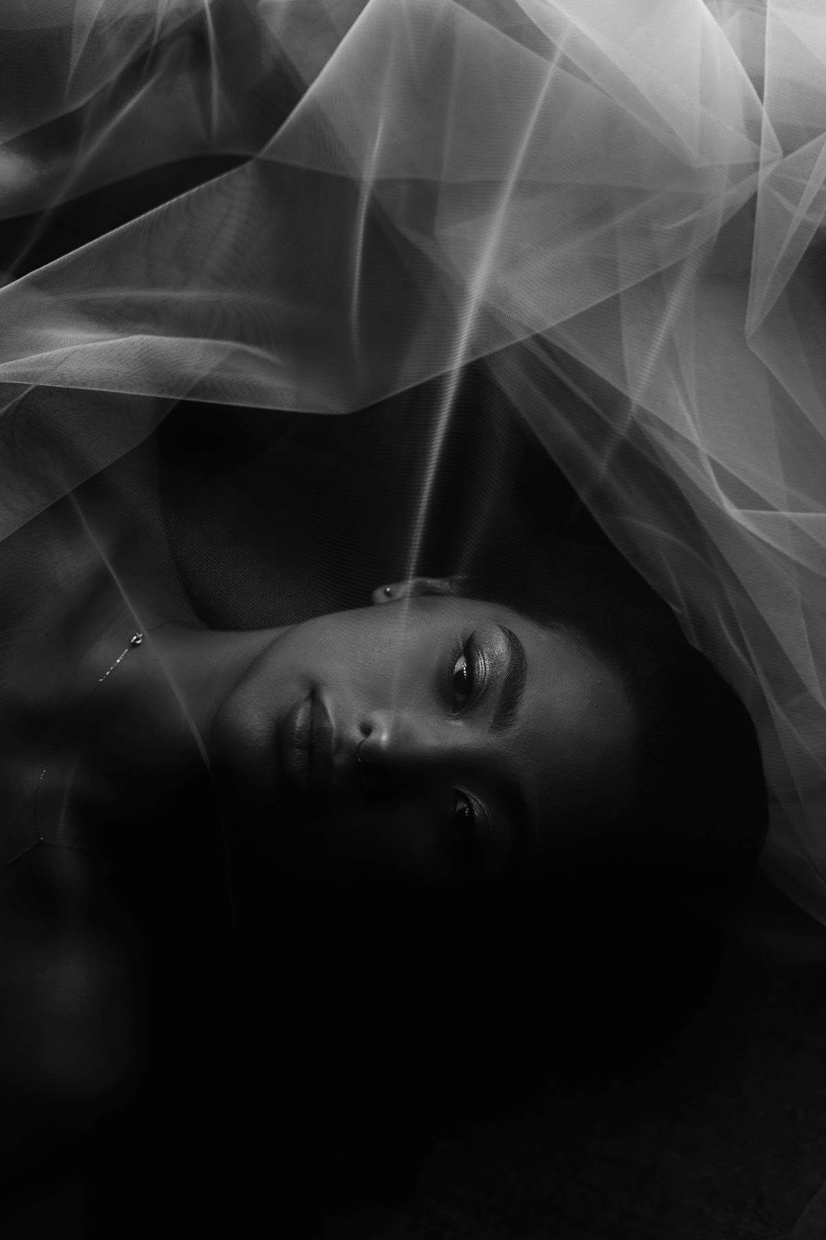 Фотографии
