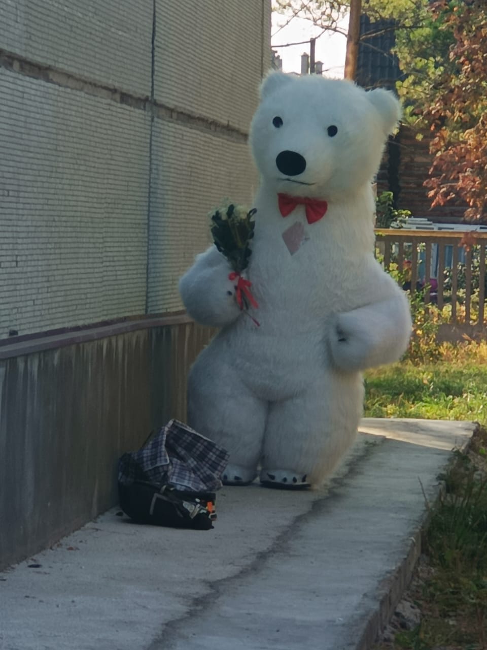 Денис Ларин