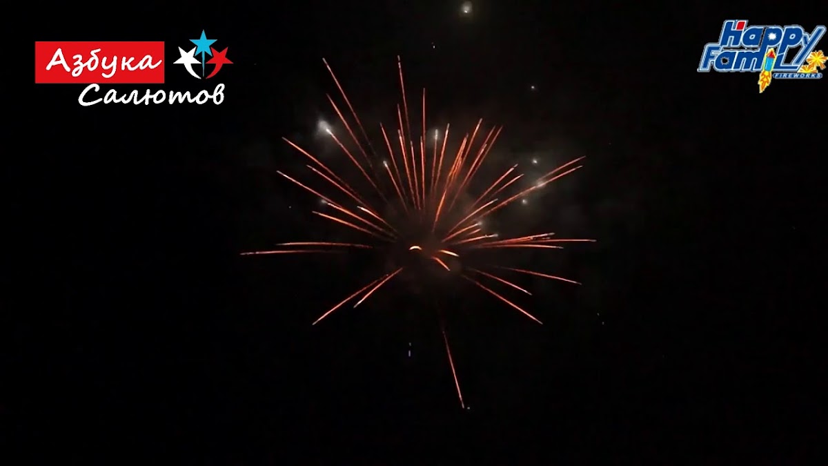 Видео свадебных салютов