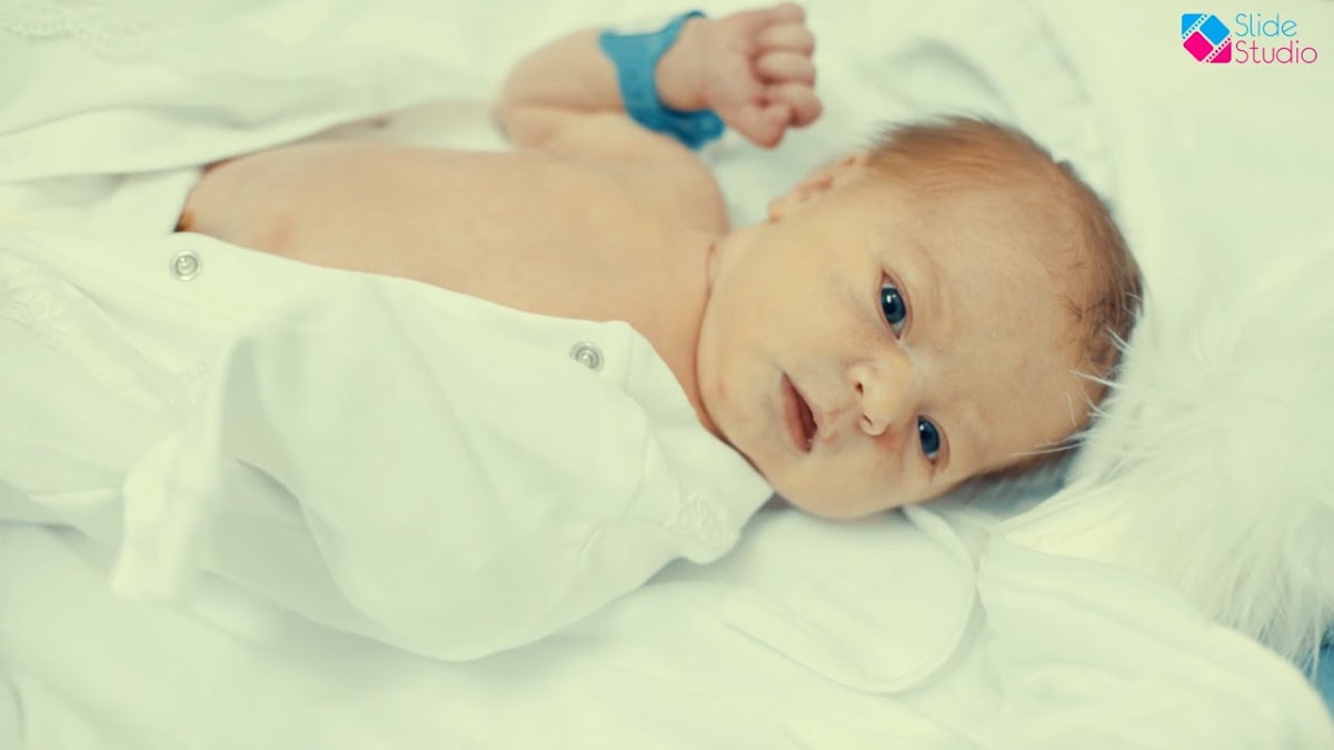 Портфолио: Семья