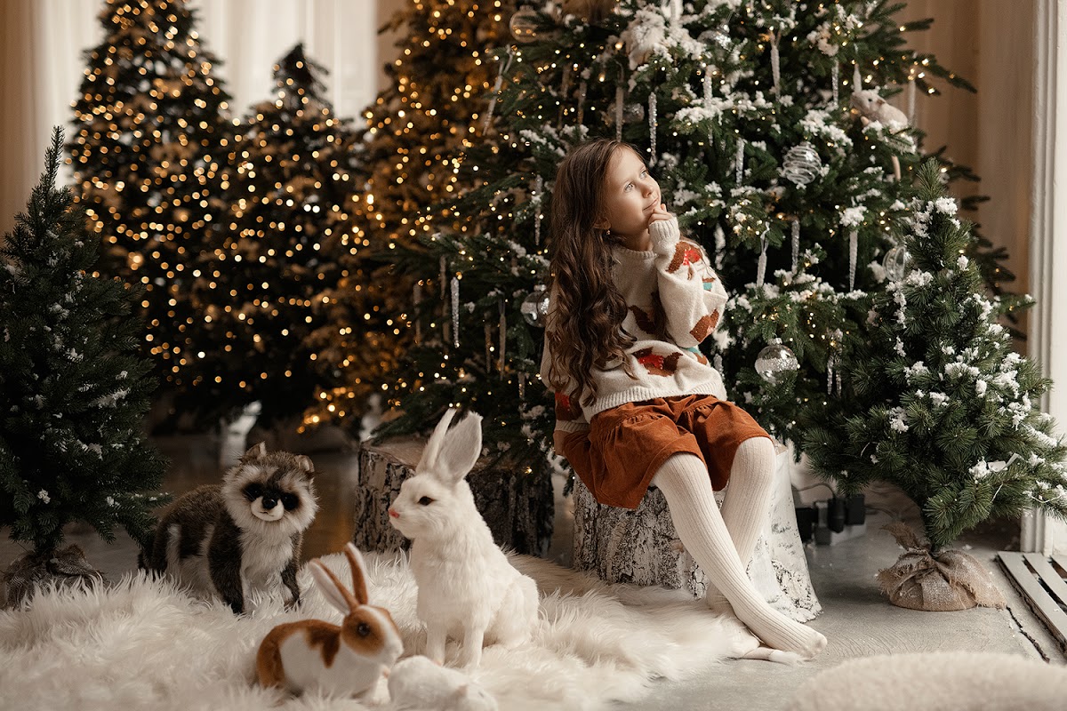 Портфолио: Новогодняя фотосъемка