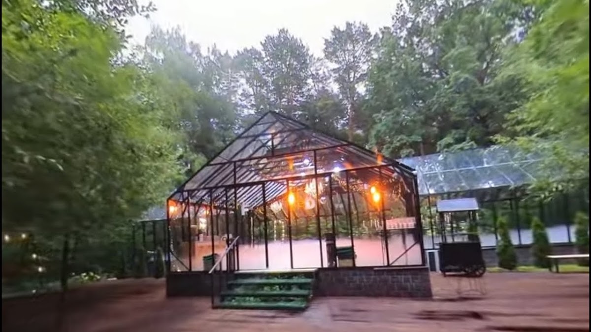 Лесная Роса