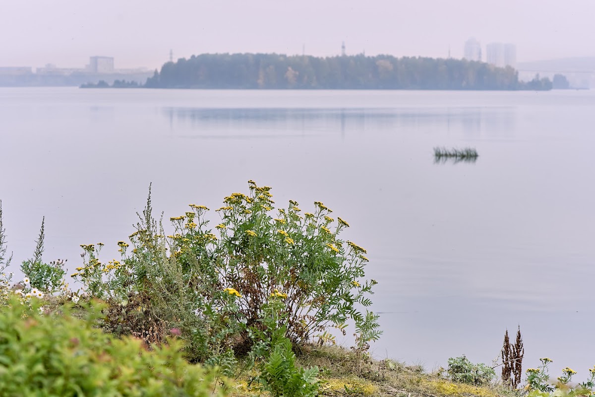 Светлана и Александр