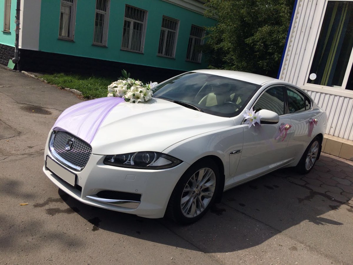 Кадр 46 из 49