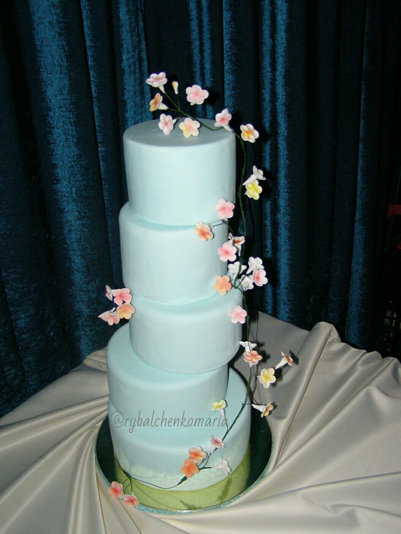 Magic Cake Mary
