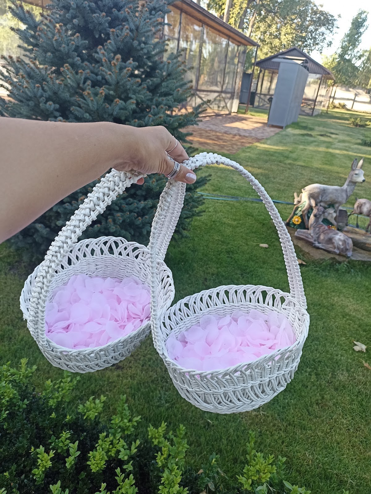 Кадр 32 из 43