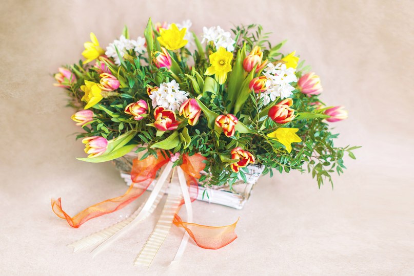 Студия «TREND-DECOR»