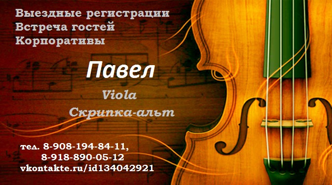 Портфолио: Свадьба