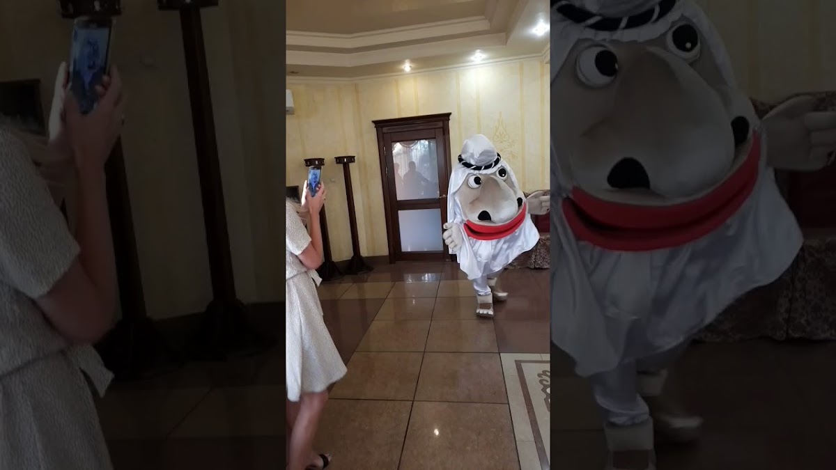 Фотографии