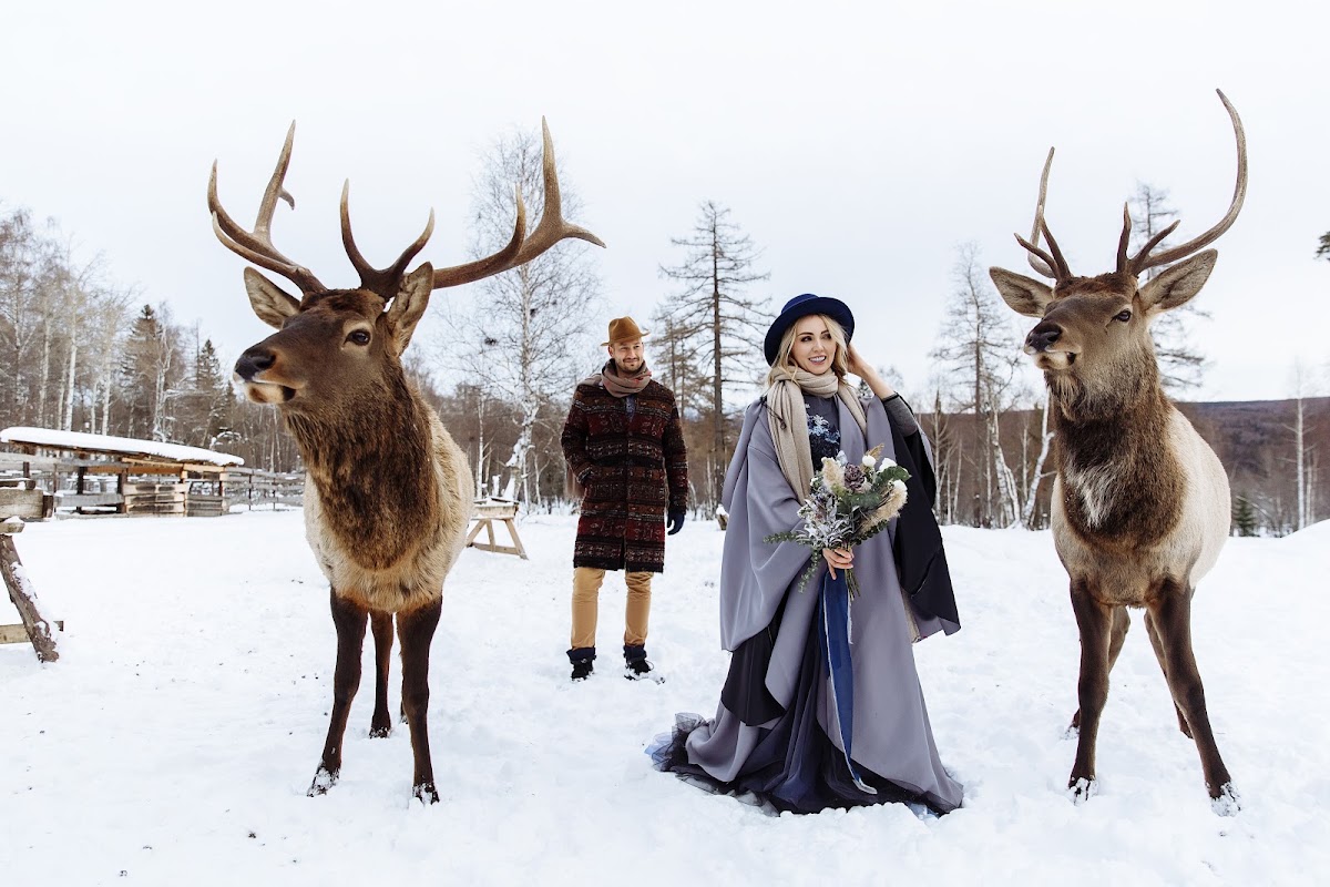 trip to the deer