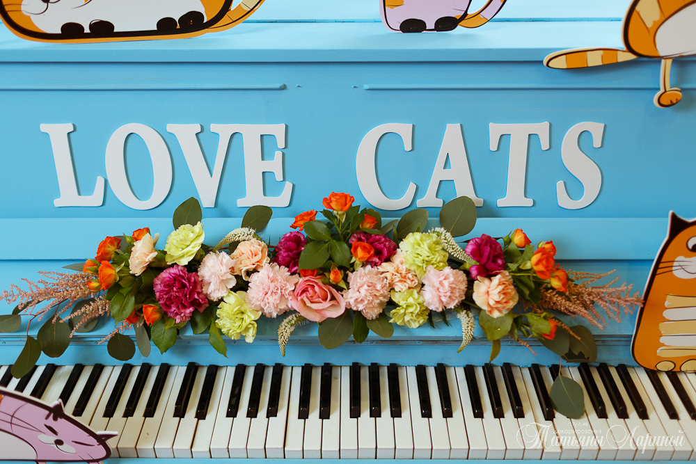 Love cats