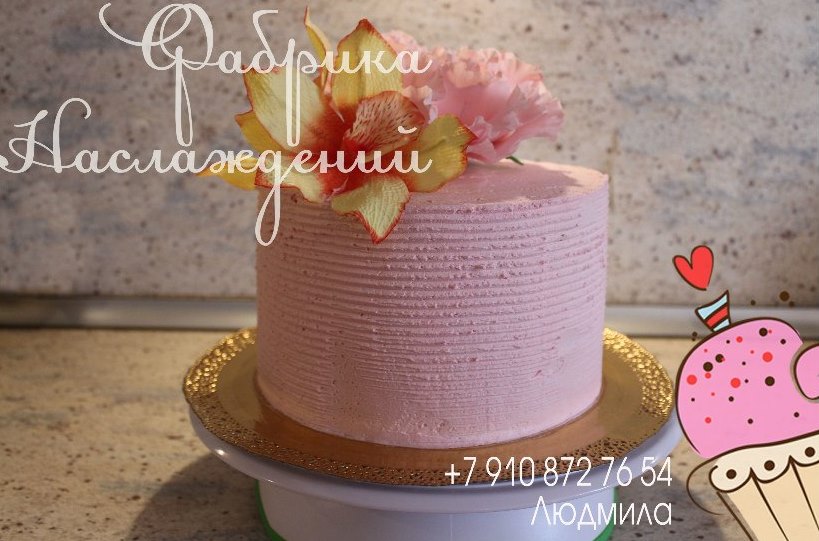 Портфолио
