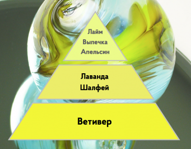 Портфолио