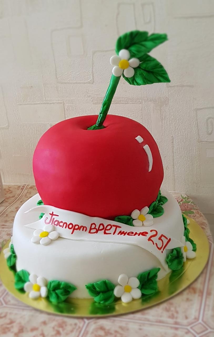 Портфолио