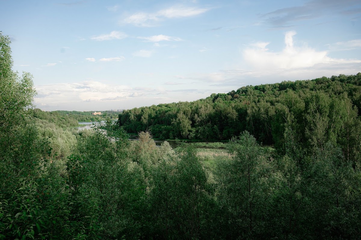 Территория