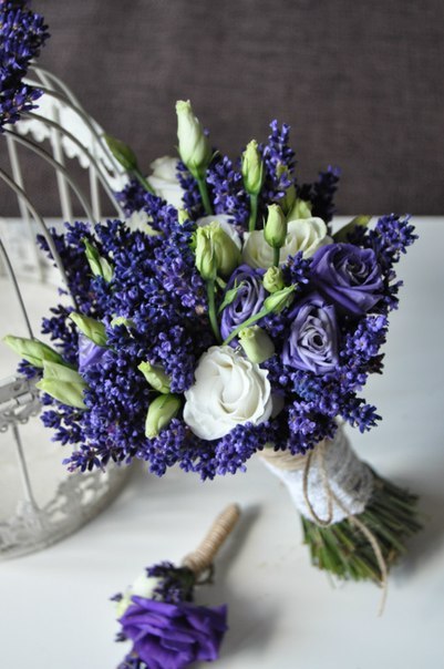 Valensole — кадр 3 из 11