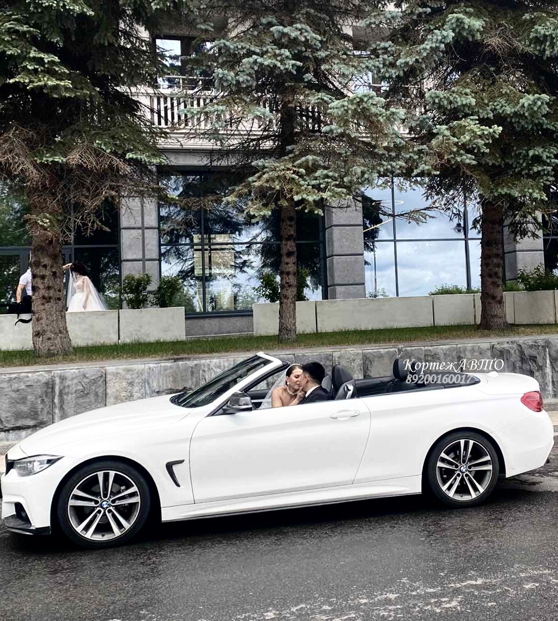 Фотографии