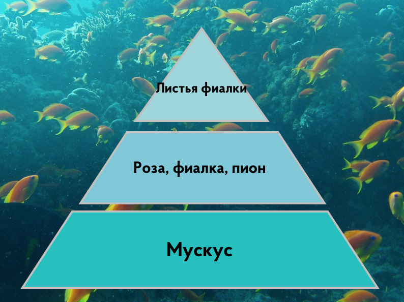 Ароматизация мероприятия
