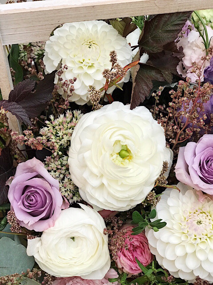 Lovely — кадр 4 из 20