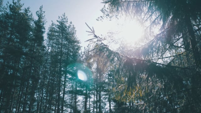 Евгений Романов — кадр 4 из 14