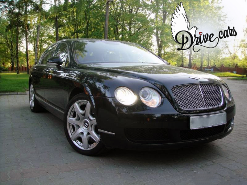Bentley Continental fly spur — кадр 2 из 13