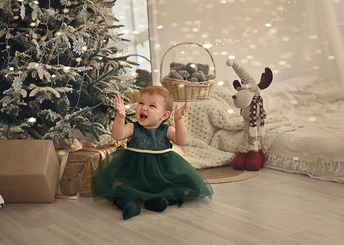 Портфолио: Новогодняя фотосъемка