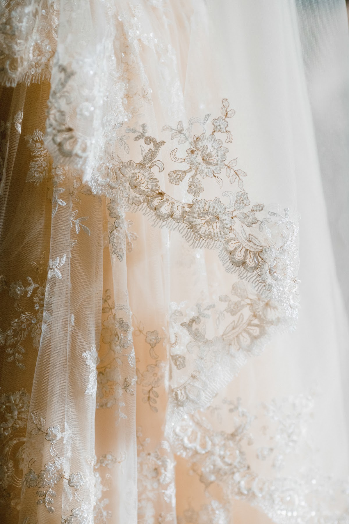 Gold Wedding Sergey&Dar'ya 20.07.2018