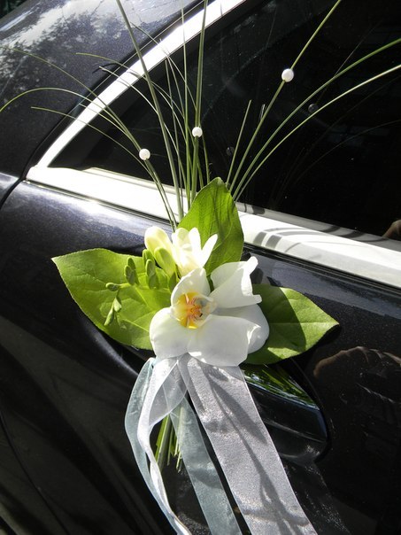 Fleur de vie