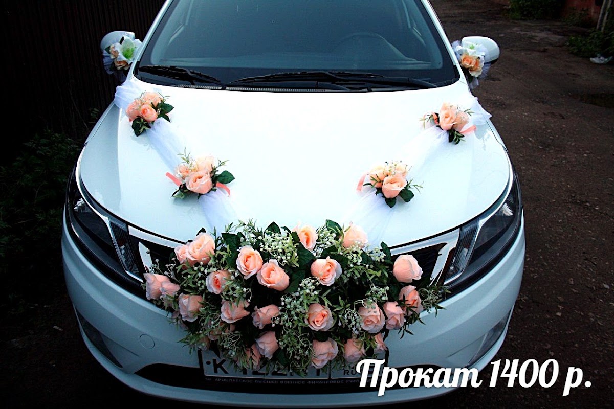 Портфолио