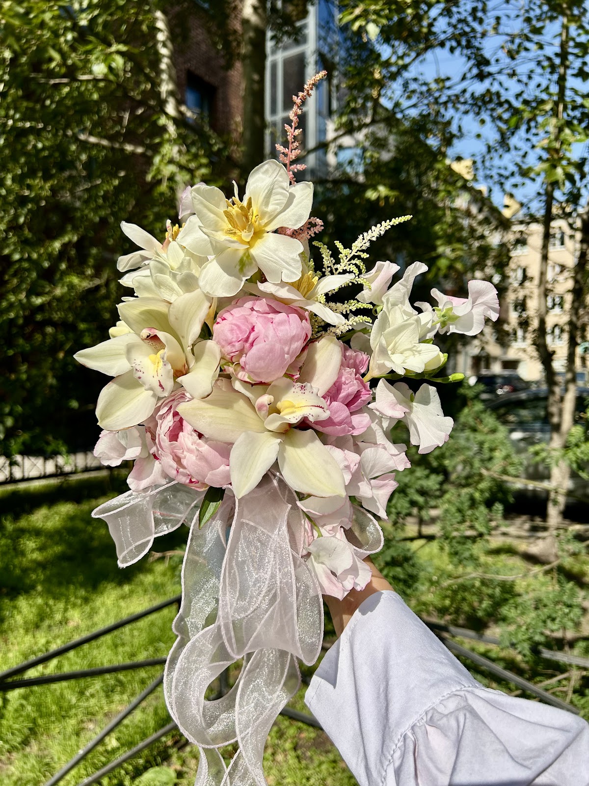 Tropicana Flowers
