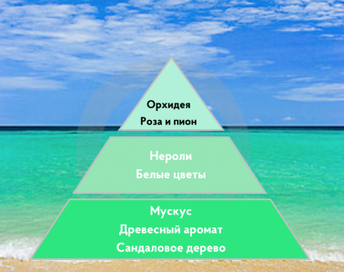 Портфолио