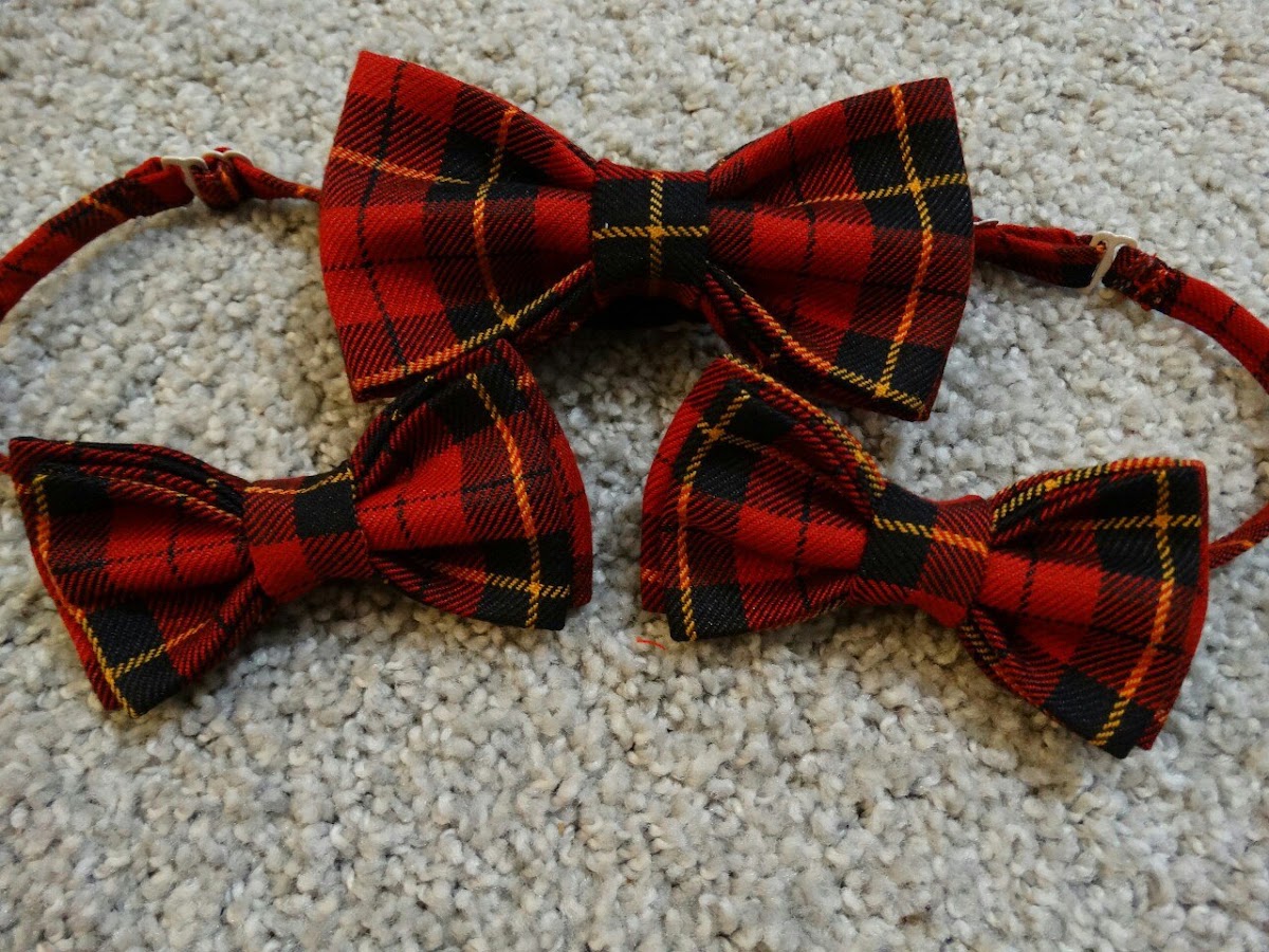 Bow tie by VS — кадр 4 из 20