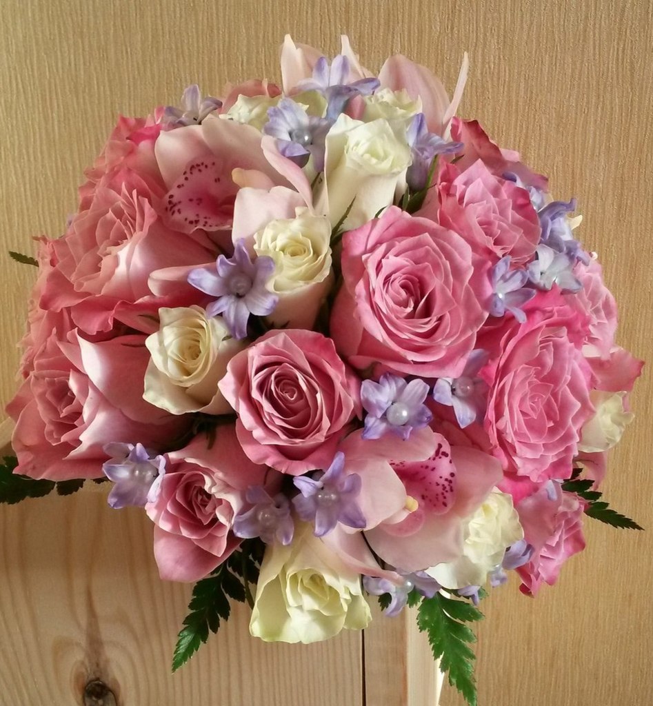 Портфолио