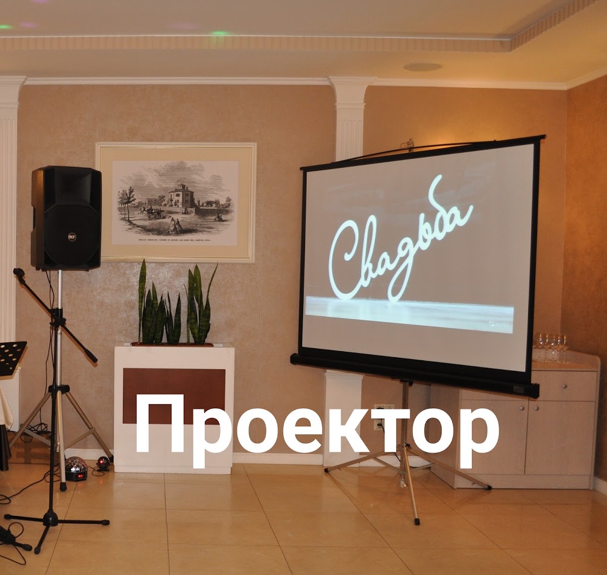 Денис Анатольевич