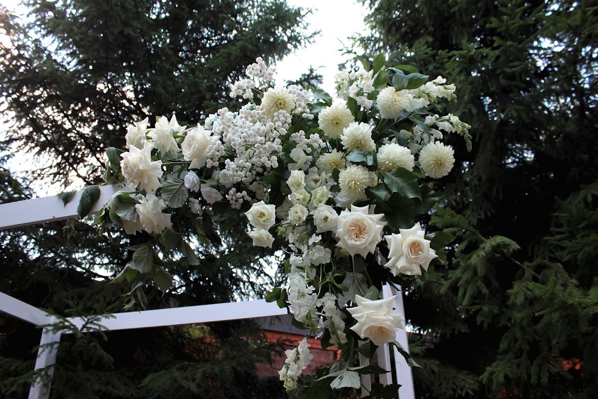 Кадр 43 из 49