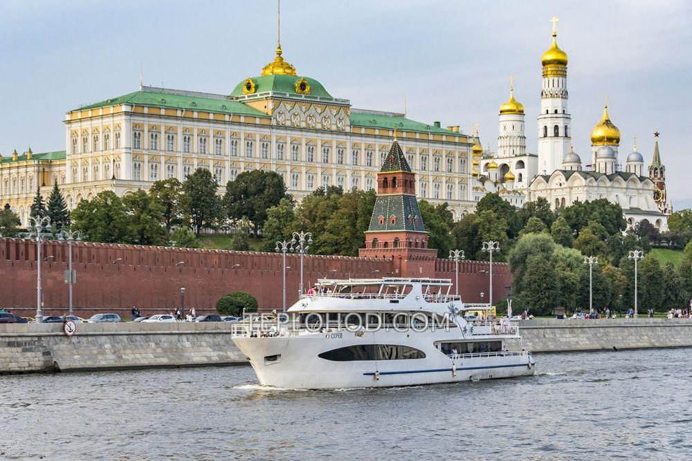Пальма де Сочи