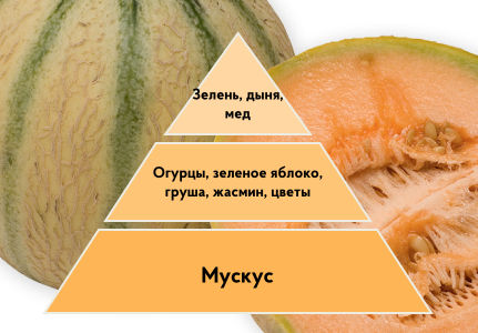 Ароматизация мероприятия