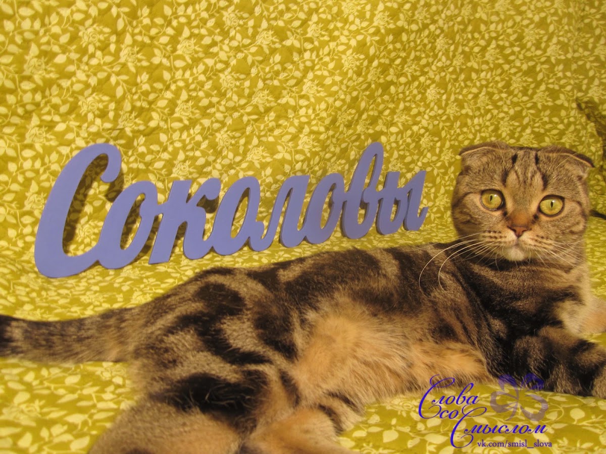 Кадр 69 из 128