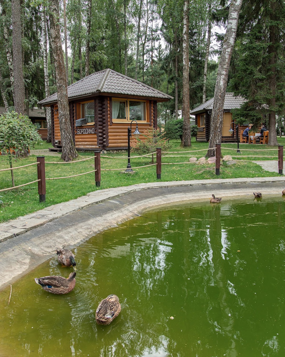 Беседки