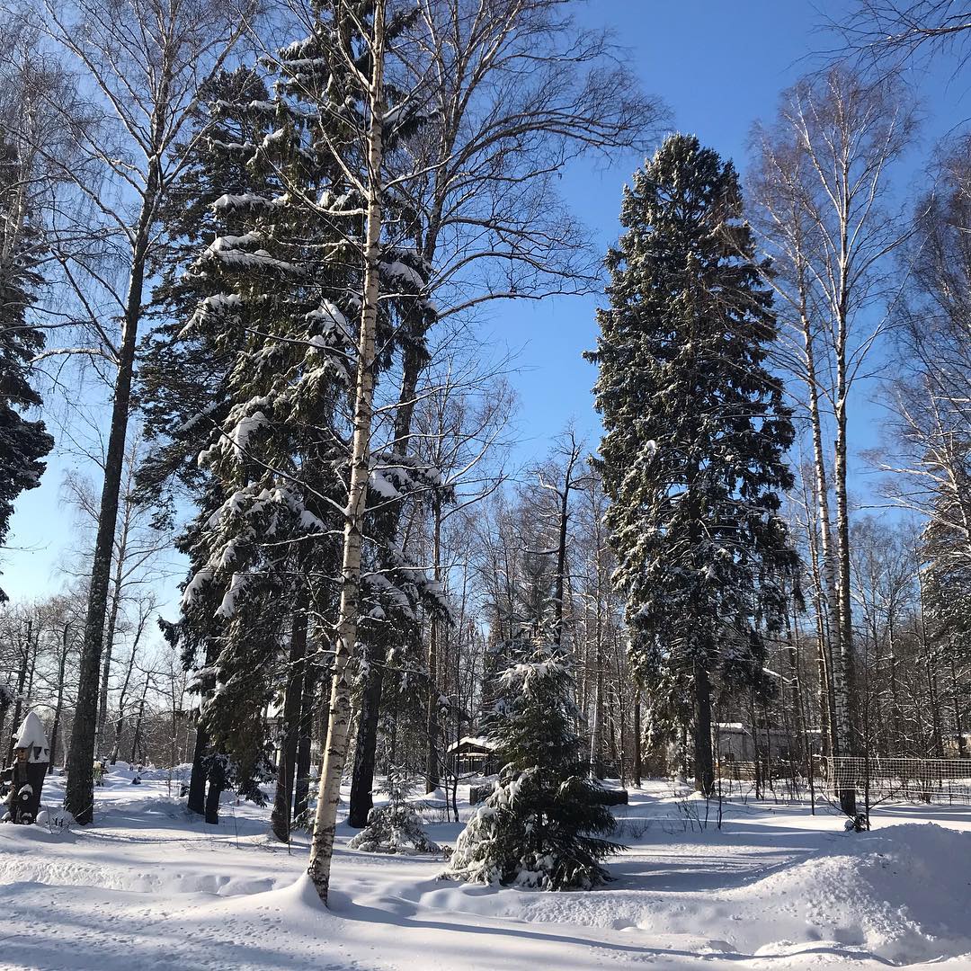 Ресторан — Корпоратив