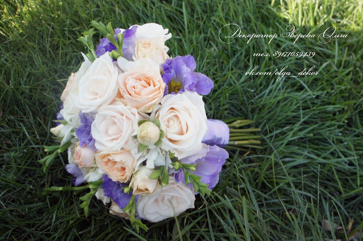 Портфолио