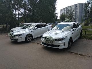 Кадр 39 из 95