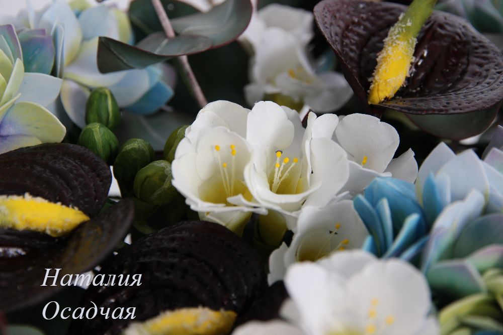 Портфолио