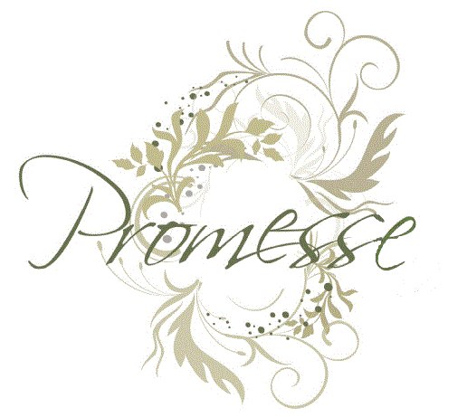 Promesse, салон свадебных и вечерних платьев